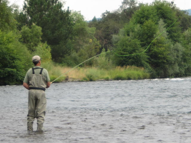Rogue river fly fishing report neil selbicky
